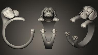 Jewelry rings Ring 4 3d model